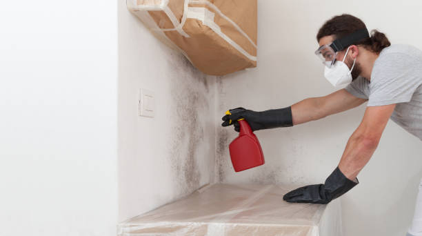 Professional Mold Remediation technician working in Martin's Additions, MD