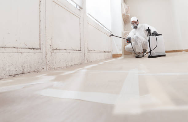 24/7 Emergency Mold Remediation experts in Martin's Additions, MD