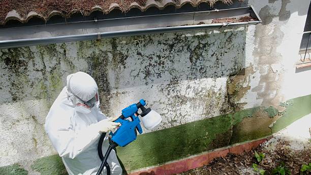 Top rated local Mold Remediation specialists in Martin's Additions, MD